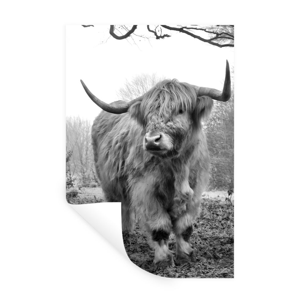 MuchoWow Wandtattoo Wandsticker Wandaufkleber Schottischer Highlander - Wald - Nebel - Kuh - Tiere - Natur 40x60 cm Selbstklebend und Repositioni...