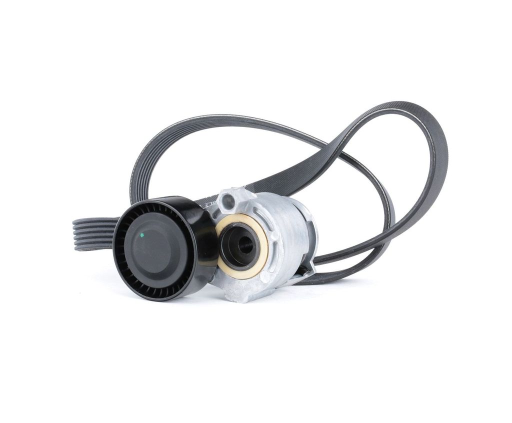 RIDEX 542R0170 - OE 11720 00Q1K Keilrippenriemensatz für Dokker, Duster, Lodgy, Logan, Sandero, Juke F15, Micra III K12, Note E11, NE11, Note E12,...