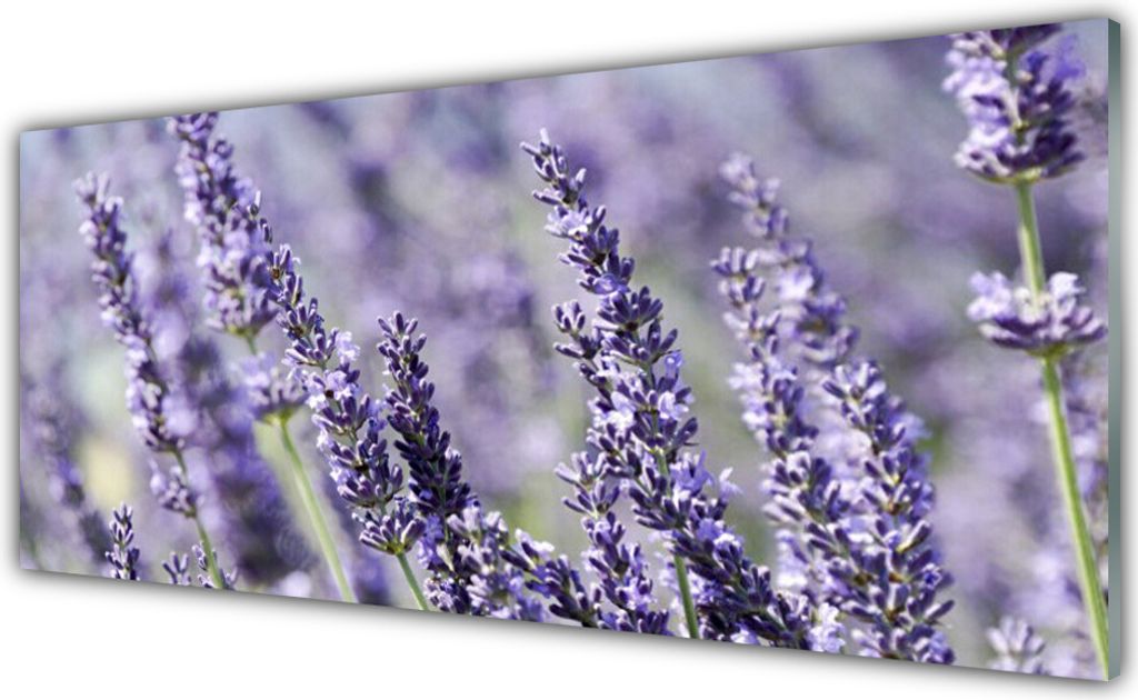 Acrylglasbilder 125x50 Wandbild Druck Blumen Pflanzen
