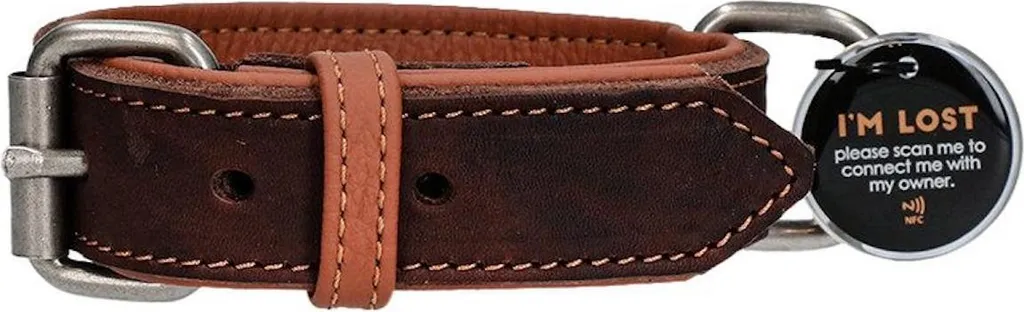 Offerta Collare Pro Pelle Marrone 45cm x 2.5cm - Qualità Professionale