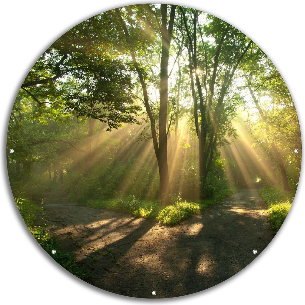 Wallario rundes Outdoor-Poster für Garten oder Balkon, Motiv Weggabelung im Sonnenschein, 60 cm Durchmesser