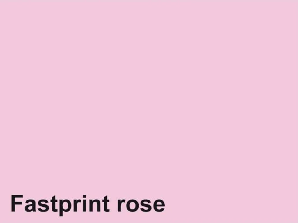Carta Quantore A4 160g Rosa - Supporto per Stampa Digitale 50 Fogli