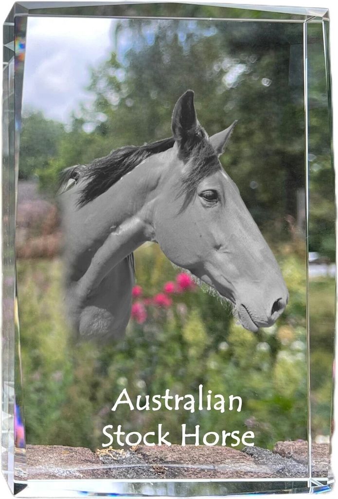 Australisches Zuchtpferd - Kristall mit einem Pferdebild, Bild im Glas, moderne Ausstellung des Art-Dog-Bildes.
