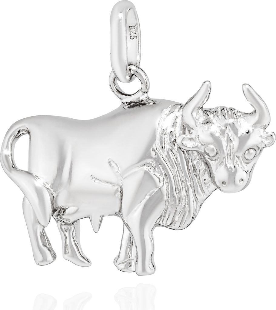 NKlaus Kettenanhänger Stier Sternzeichen 925 Silber 13x19mm Produktbild 