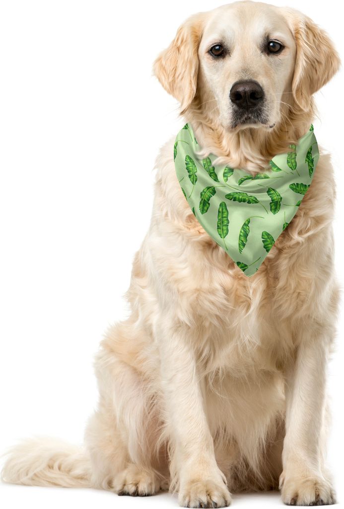ABAKUHAUS Dschungel Haustier Bandana, Oceanic Climate Palms, 55x55 cm, Fern und Hellgrün