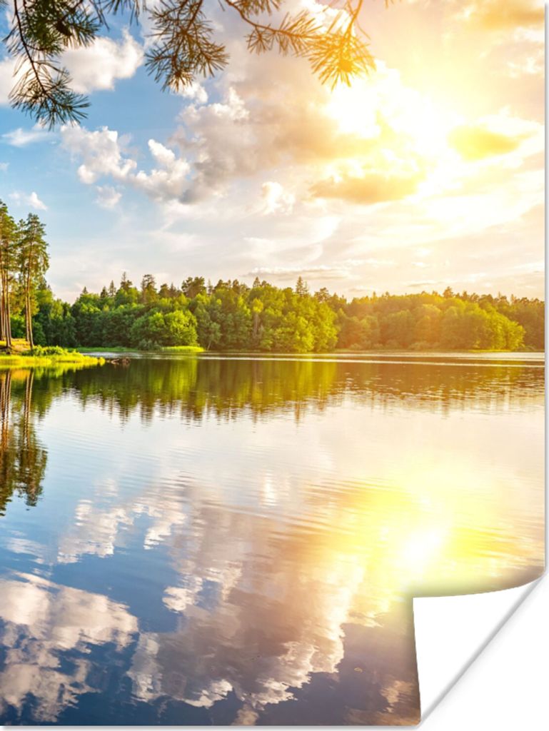MuchoWow Poster Bäume - Wasser - Sonne 90x120 cm - Wohnzimmer