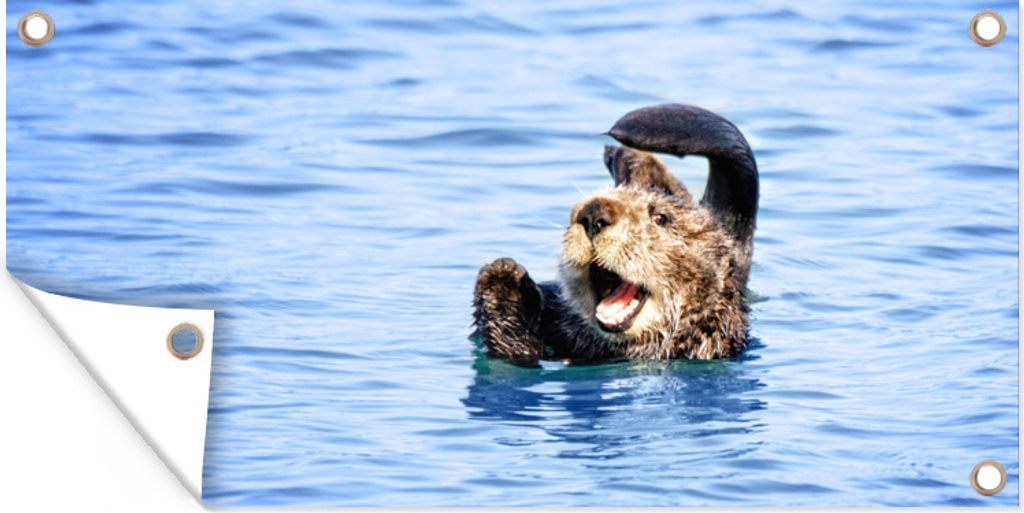 MuchoWow 60x30 cm Outdoor-Poster Gartendeko Sichtschutz Garten Poster für den Garten Seeotter - Lustig - Wasser - Kinder - Jungen - Mädchen - ...