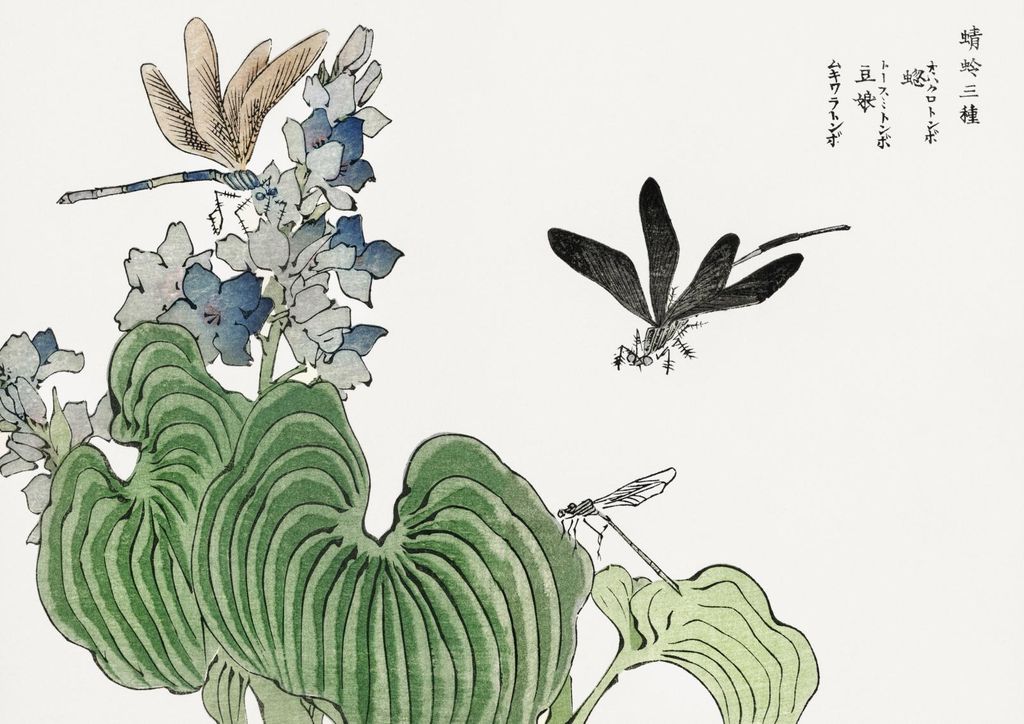 Plakat 42x29,7cm Libelle auf Blume Morimoto Toko Japanisch Vintage für das Wohnzimmer