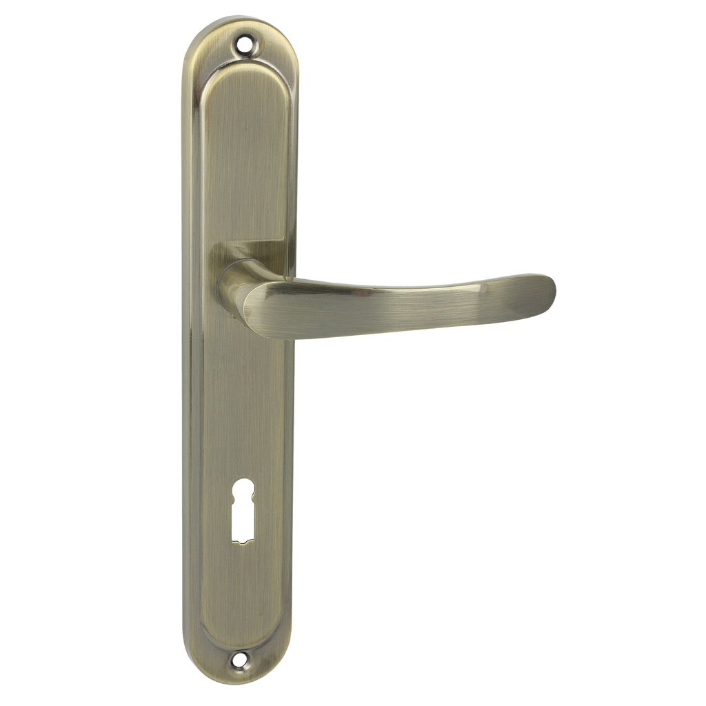 A single door handle set with a long plate and a keyhole, shown against a white background.
