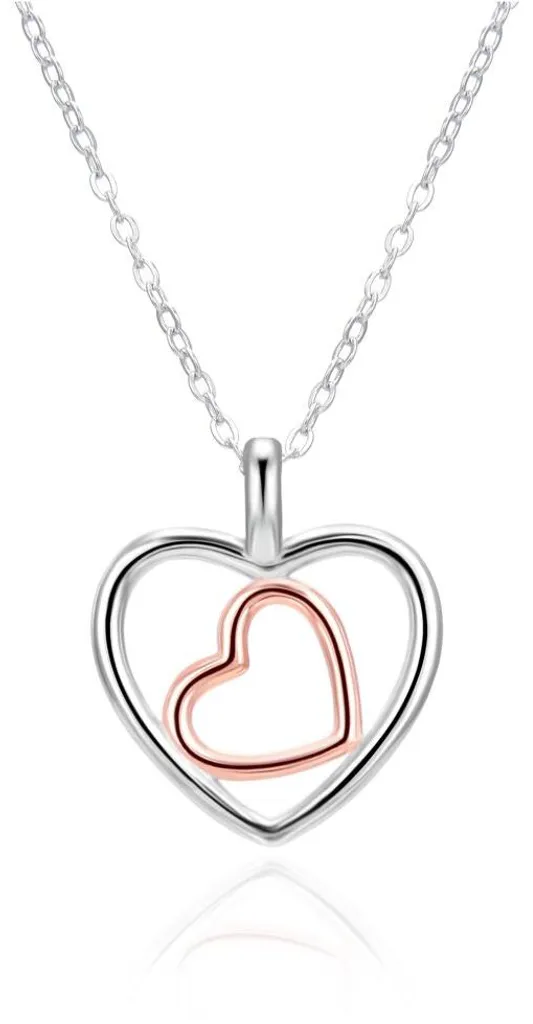 Collier anti-allergie en argent massif double cœur qui ne noircit pas