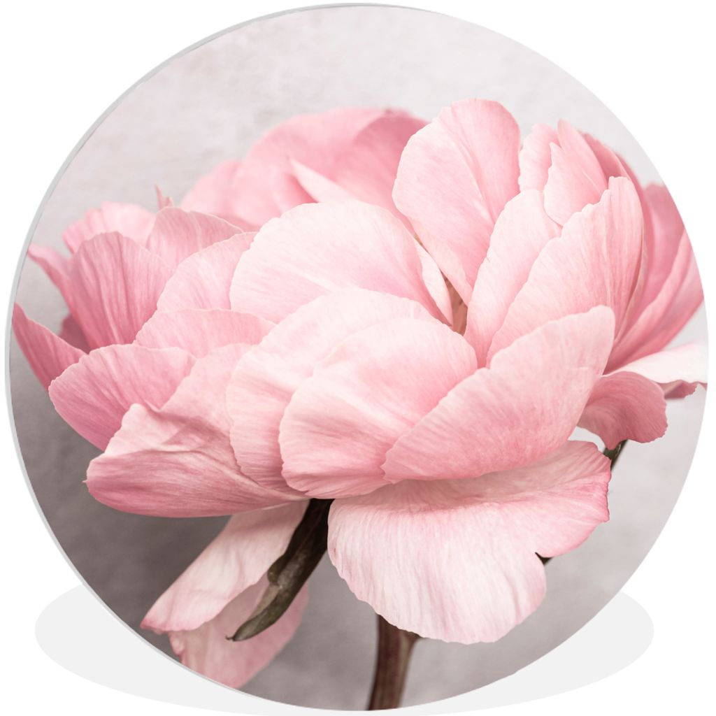 MuchoWow Rundes Wandbild - Runde Bilder Blumen - Rosa - Natur - Pflanze Ø 90 cm Kreis Wanddekoration Kunststoff - Wandkreis - Wandschmuck - Wand...