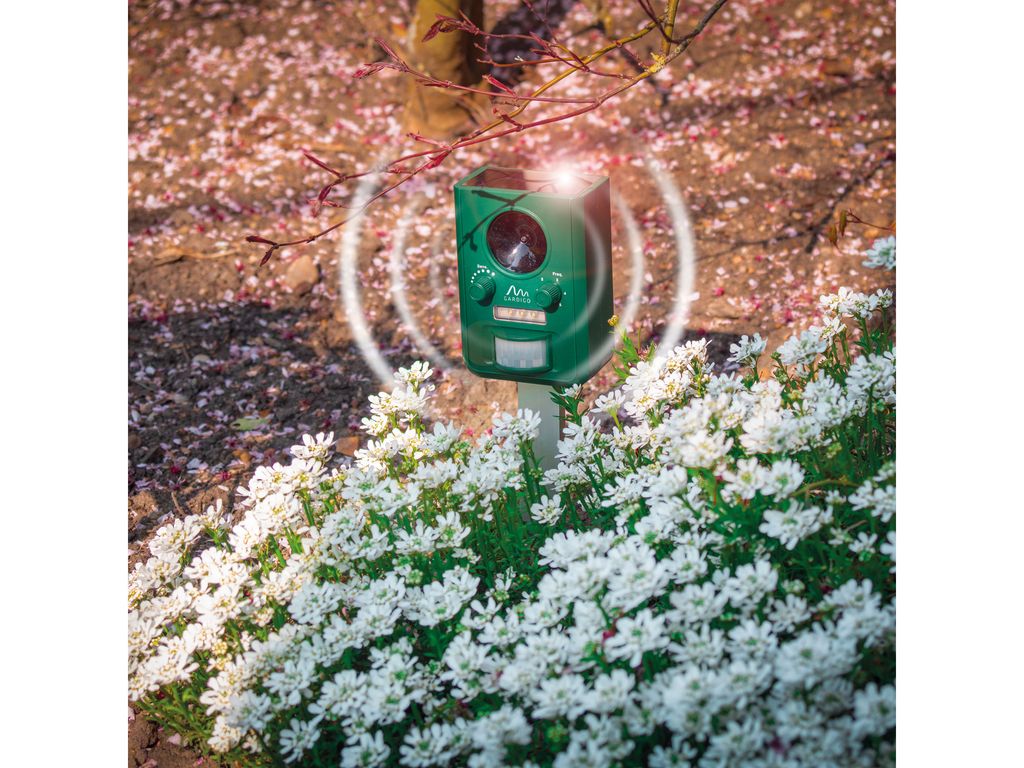 Gardigo Vogel-Schreck »Gardigo Vogel-Abwehr Krähe«, Mit Sound, Inkl.Batterien Per Rechnung | BAUR - Foto 6