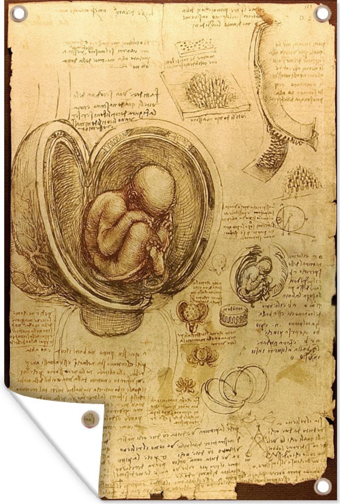 MuchoWow 60x90 cm Outdoor-Poster Gartendeko Sichtschutz Garten Poster für den Garten Baby im Mutterleib - Leonardo da Vinci