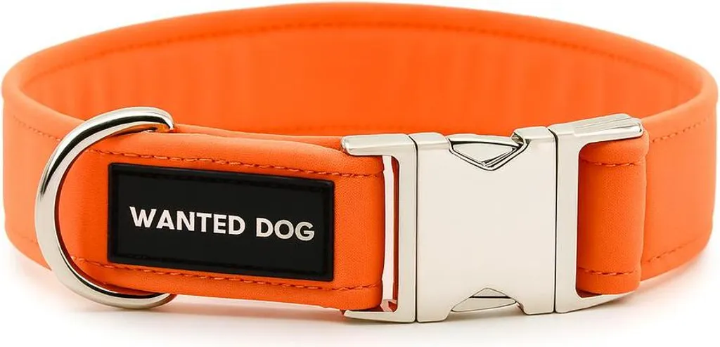 Collare Cane WANTED DOG Arancio Neon 30cm - Resistente e Visibile