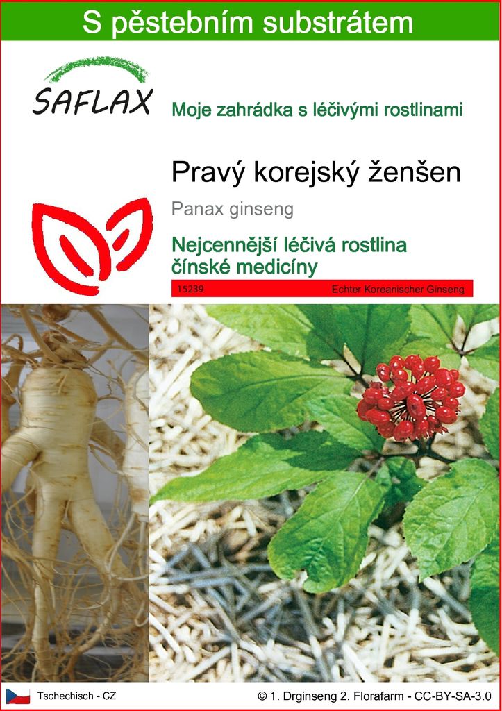 SAFLAX - Pravý korejský ženšen - Panax ginseng - 10 Semena Obrázek produktu 