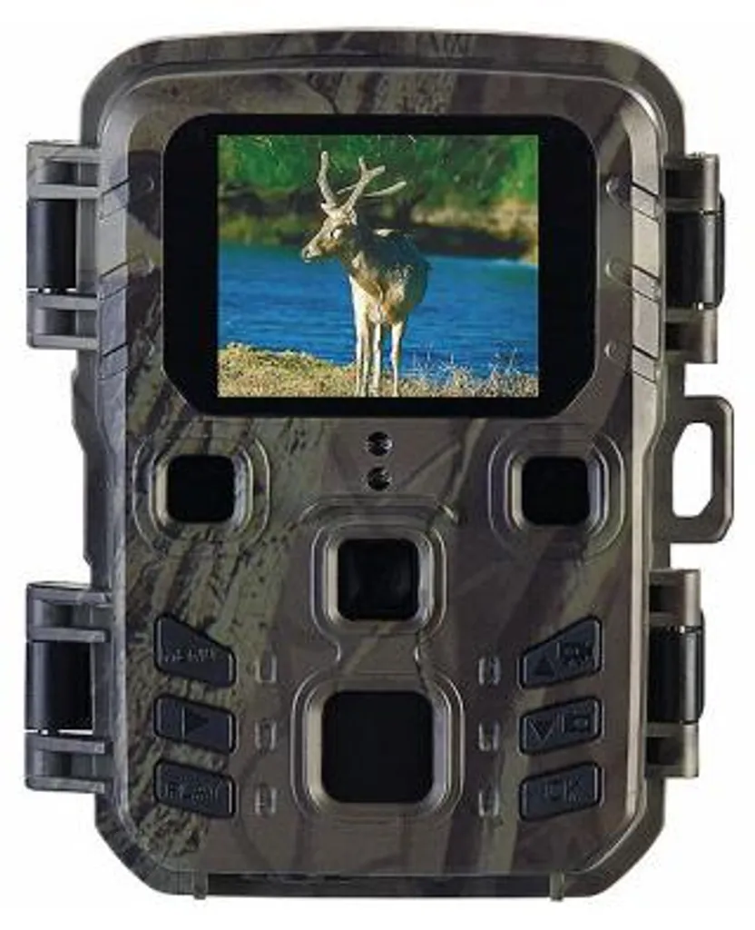 Mini Caméra de Chasse pour Surveillance Jardin et Observation Forêt