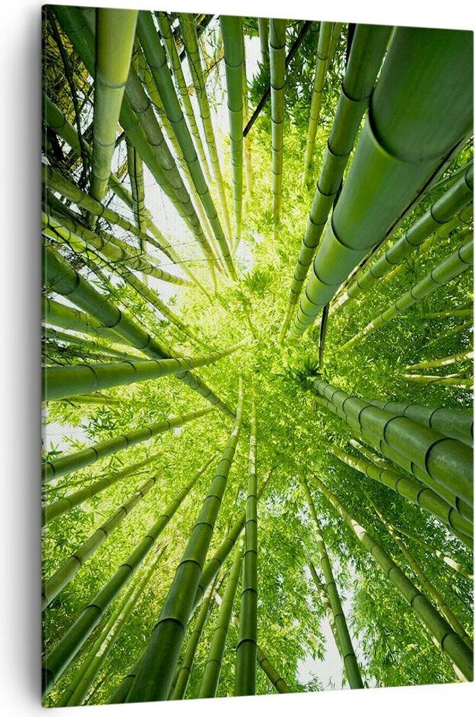 Bild auf Leinwand - Leinwandbild - Einteilig - Bambus Dschungel Grün - 70x100cm - Wand Bild - Wanddeko - Wandbilder - Leinwanddruck - Wanddekorati...
