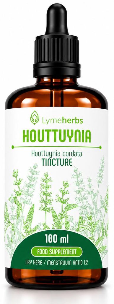 Tintura Houttuynia 1:2 (100ml) Immagine del prodotto 