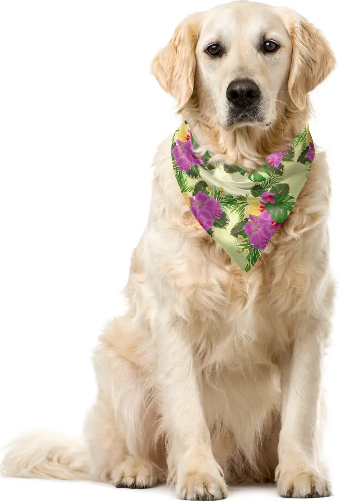 Bandana Cane Glamour ABAKUHAUS Orchidea e Ibisco - 55x55 cm Fucsia