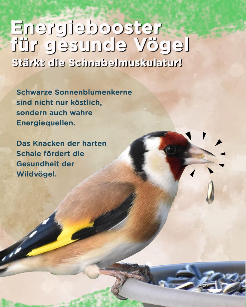 Futterbauer 25kg Sonnenblumenkerne schwarz Vogelfutter Produktbild 3