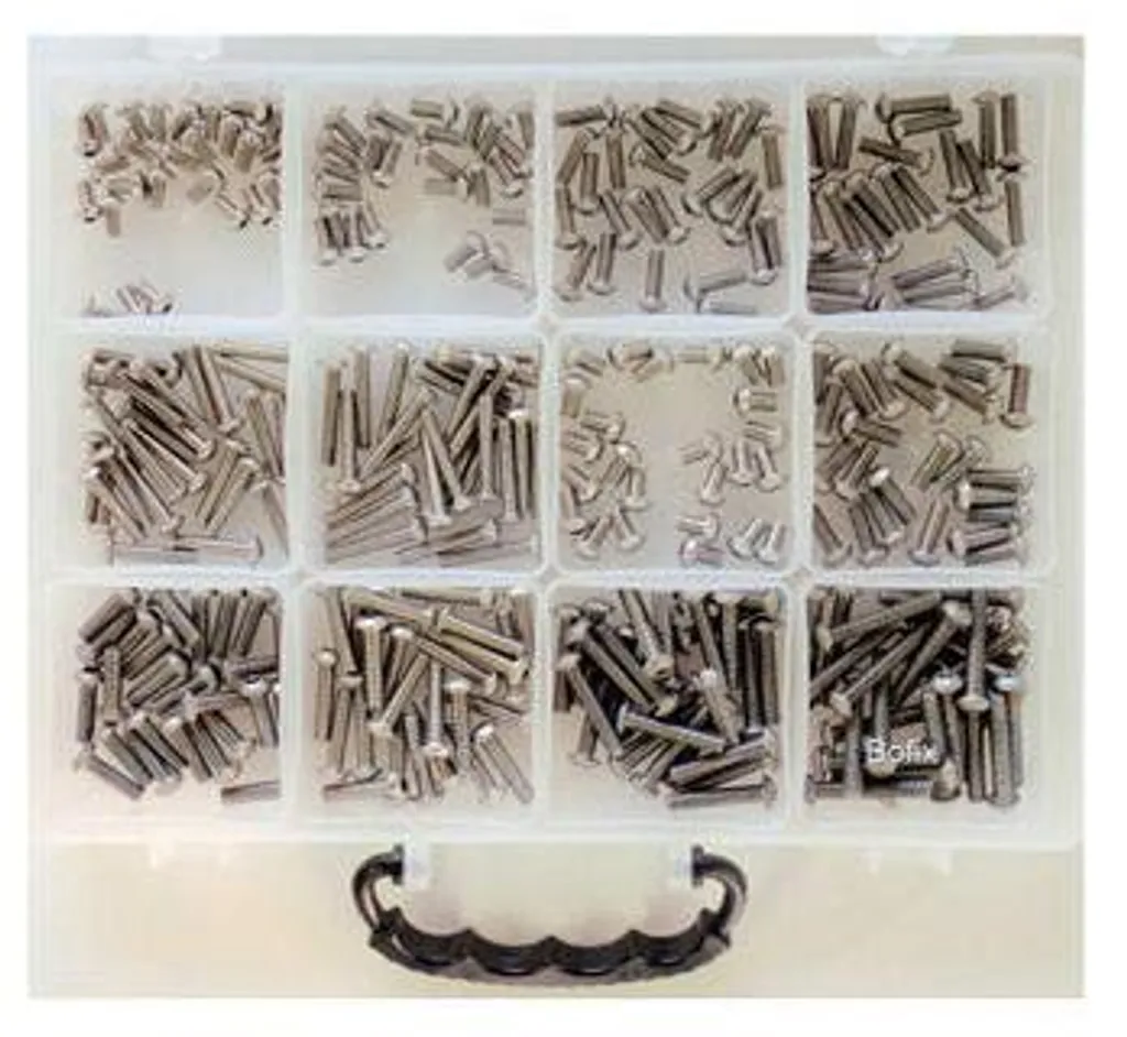 Assortiment de Vis à Tête Bombée Allen en Inox - Boîte de Rangement Bofix