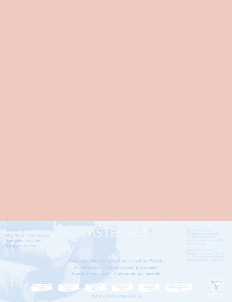 Clairefontaine Papier für Pastellmalerei, 5 Bogen 50x70cm Siena 496012C