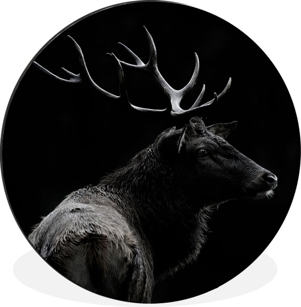 MuchoWow Aluminium Wandkreis Hirsch - Schwarz - Porträt - Geweih - Tiere Ø 30 cm Wanddeko Modern Wohnzimmer - Wand Bild - Wohnzimmer - Runde Bi...