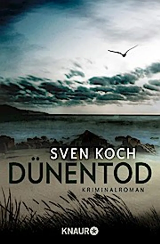 Livre Dünentod Thriller Allemand Captivant - Roman de Poche Suspense