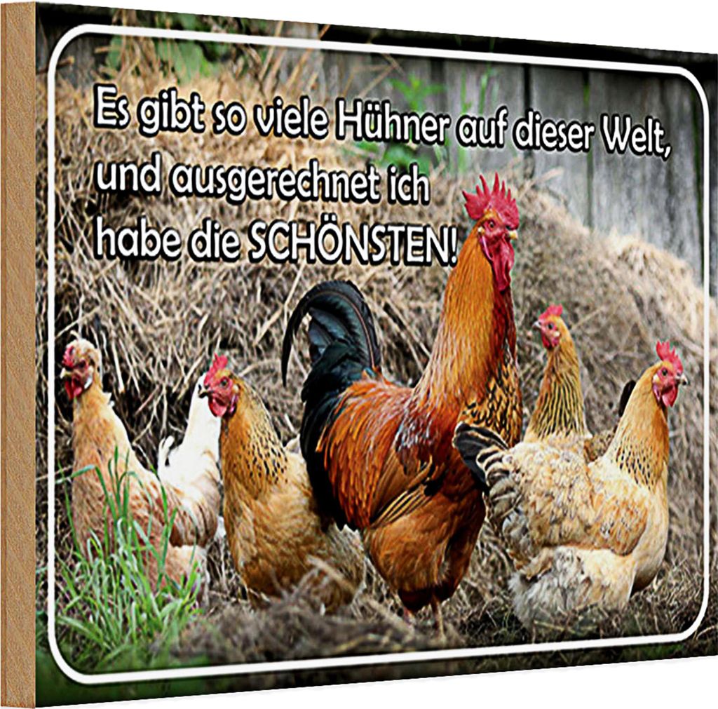 Holzschild Spruch 30x20cm es gibt so viele Hühner und