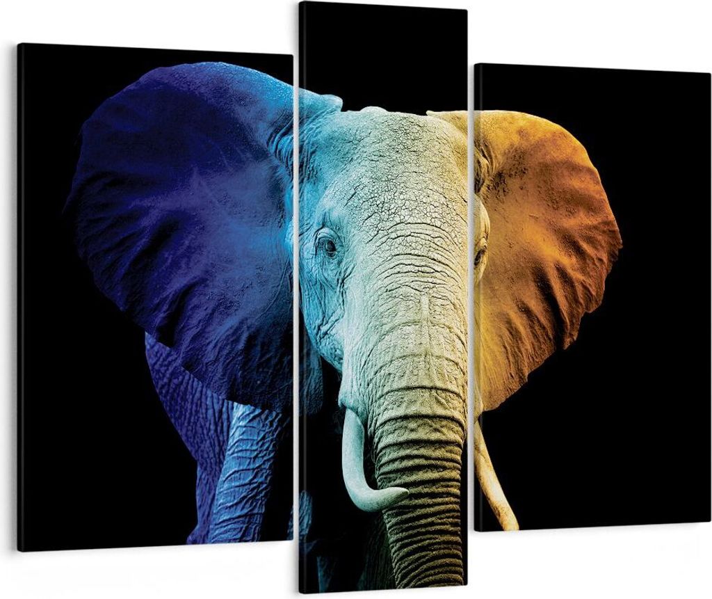 Bild auf Leinwand - Leinwandbild - 3 Teile - Bunt Elefant Fotografie - 95x80cm - Wand Bild - Wanddeko - Wandbilder - Leinwanddruck - Bilder - Wandd...