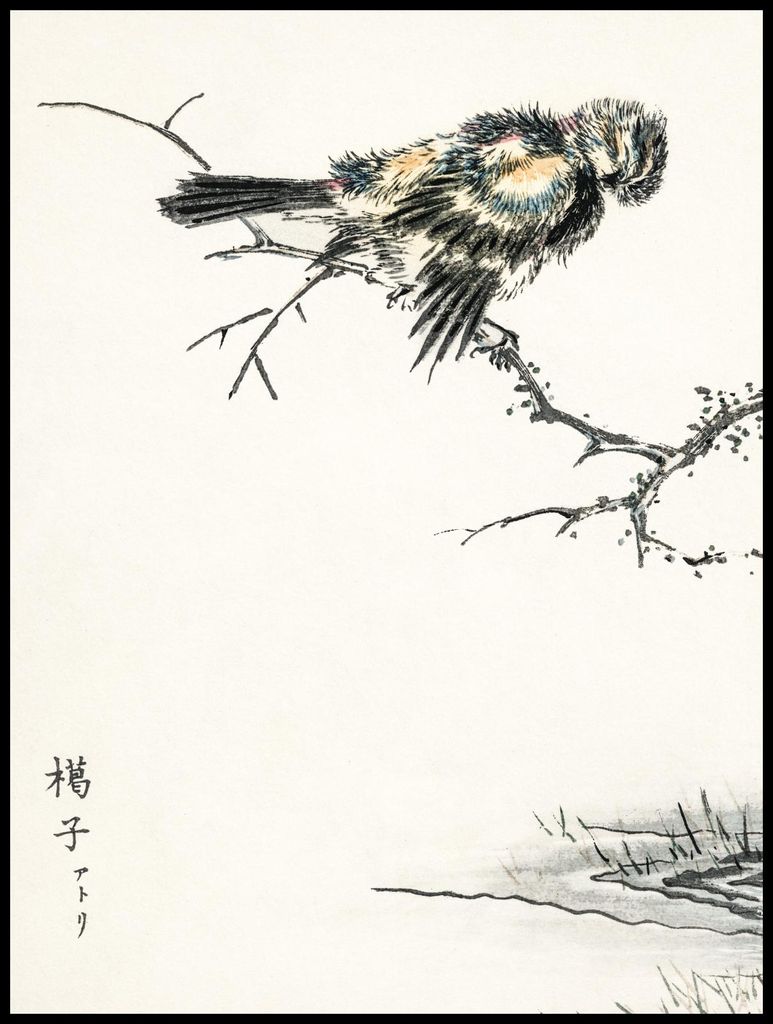 Plakat 75x100cm Brambling, Japanischer Vintage Kashu für das Wohnzimmer