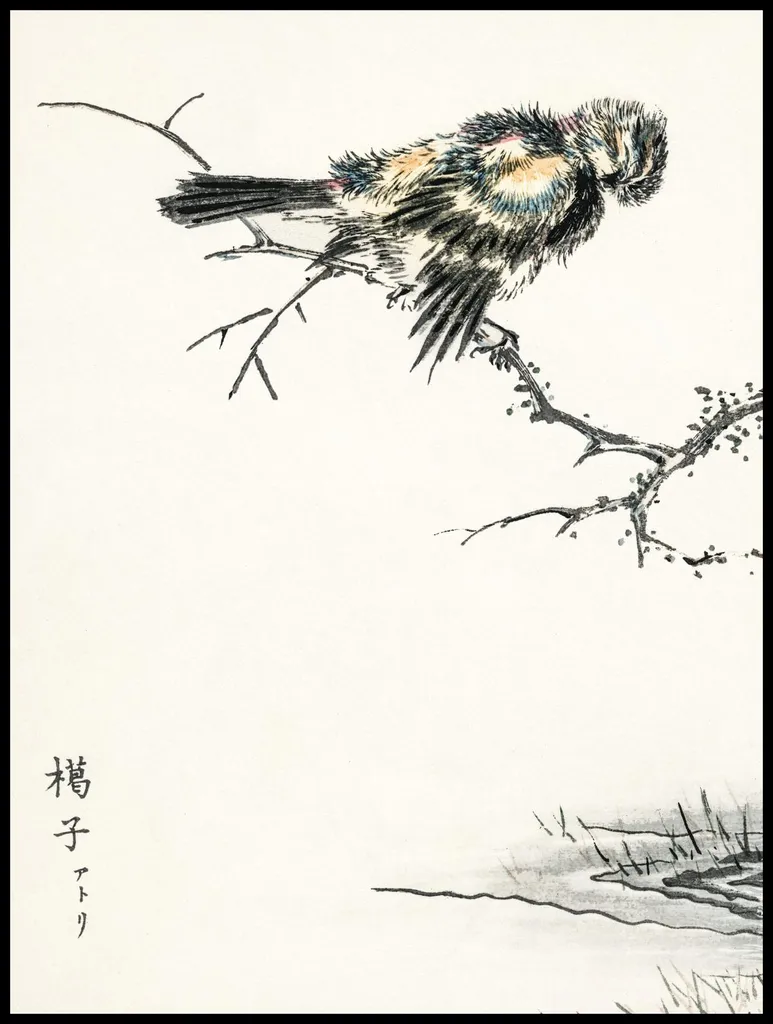 Poster 75x100 Brambling Kashu Vintage: Arte Giapponese per Salotto