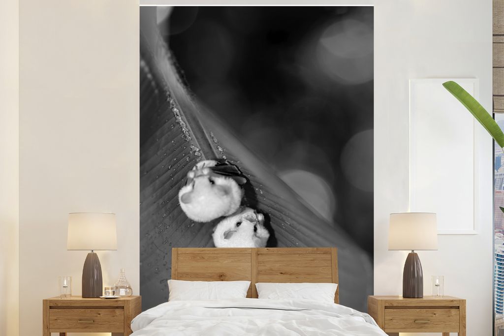 MuchoWow Fototapete für Wohnzimmer oder Schlafzimmer Wandtapete Vinyl Motivtapete Weiße Fledermäuse auf einem Blatt - schwarz und weiß - 200x...