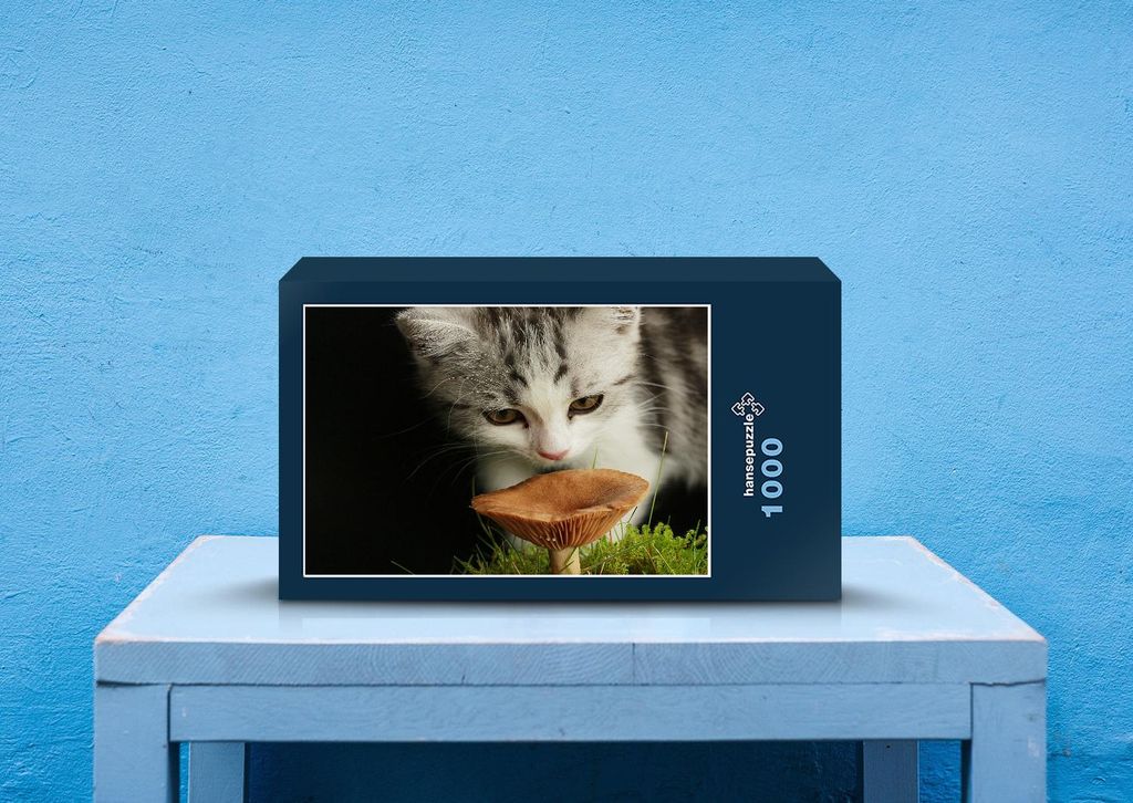 hansepuzzle 40886 - Baby Katze Puzzle, 1000 Teile, Tierwelt, 60,0 x 46,0cm mit hochwertiger Aufbewahrung, Kartonbox und wiederverschließbarem Beutel