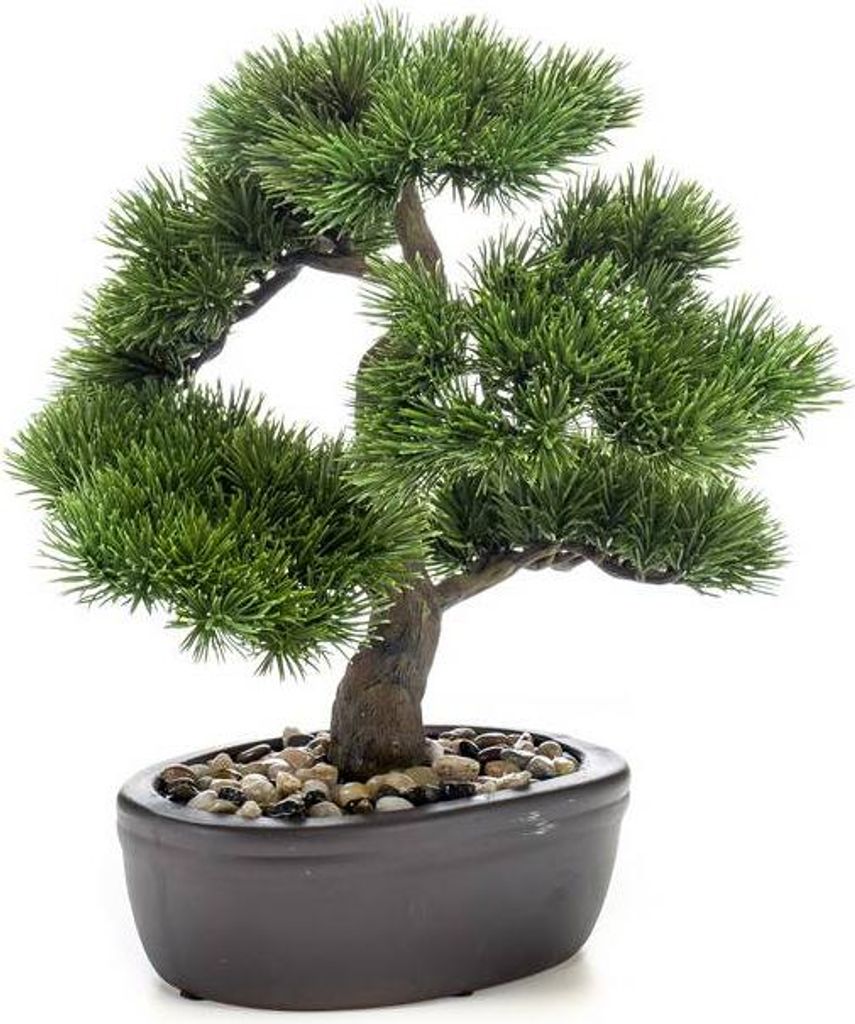 artplants.de Plastik Bonsai Pinie GALDOS in Schale, 30cm - Produktbild 