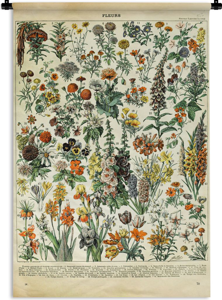 MuchoWow Wandteppich Wandbehang Blumen - Pflanzen - Vintage - Adolphe Millot - Kunst 120x180 cm Tapisserie Dekoration Wandtuch - Schlafzimmer - D...