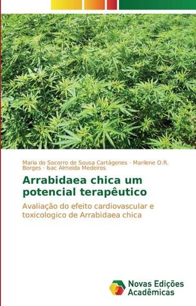 Arrabidaea chica um potencial terapêutico