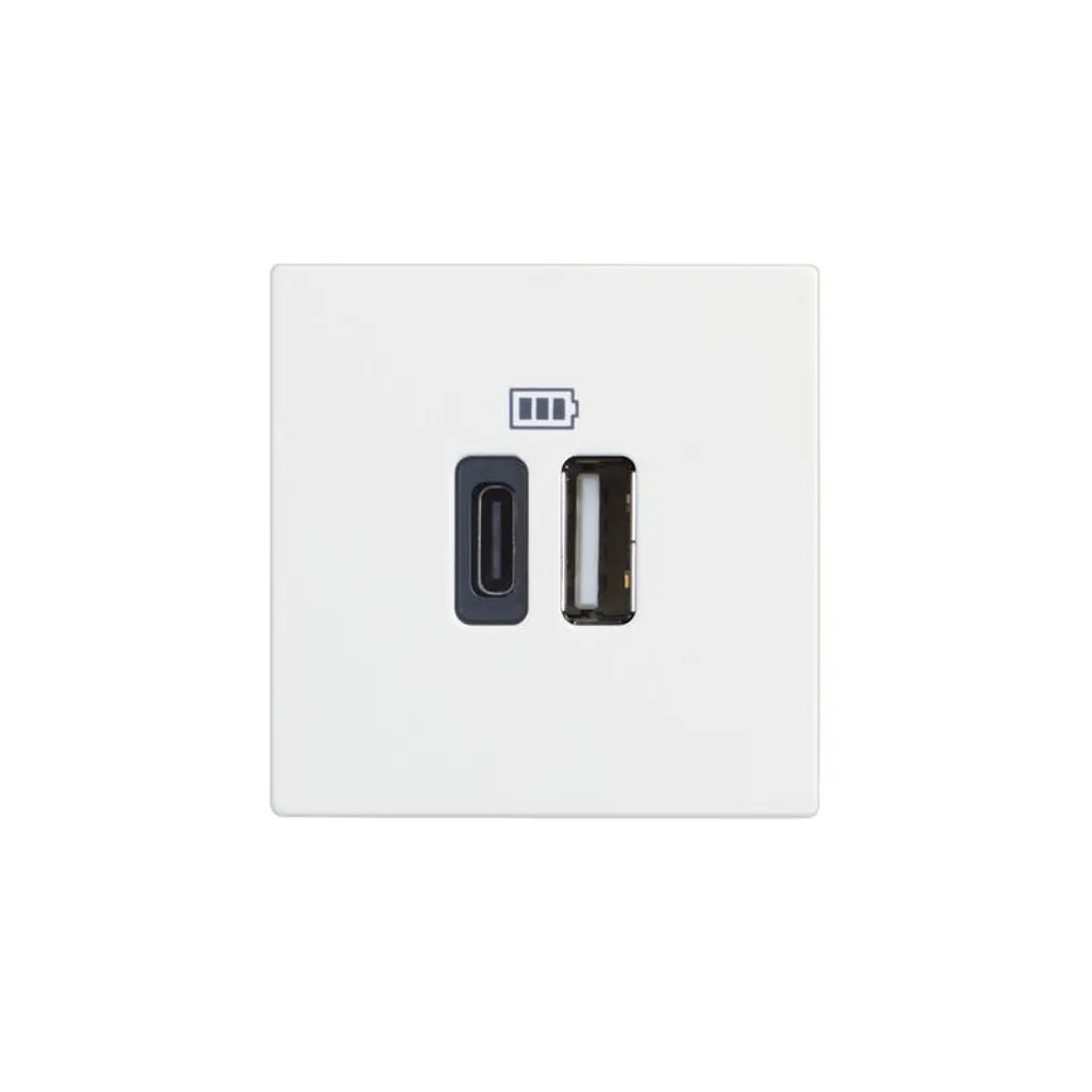 Support pour interrupteur Legrand Classia RW4287C2 - Spécial rénovation