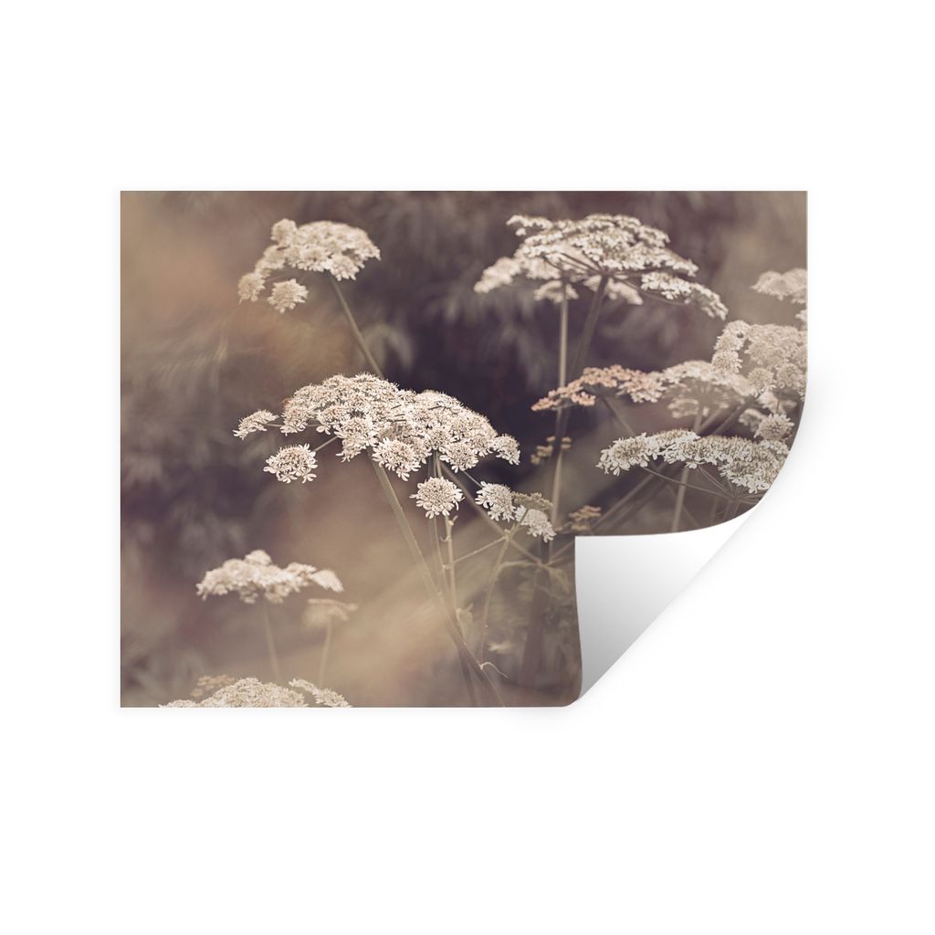 MuchoWow Wandtattoo Wandsticker Wandaufkleber Pflanze - Weiß - Natur - Blumen 160x120 cm Selbstklebend und Repositionierbar - Selbstklebend - Fo...