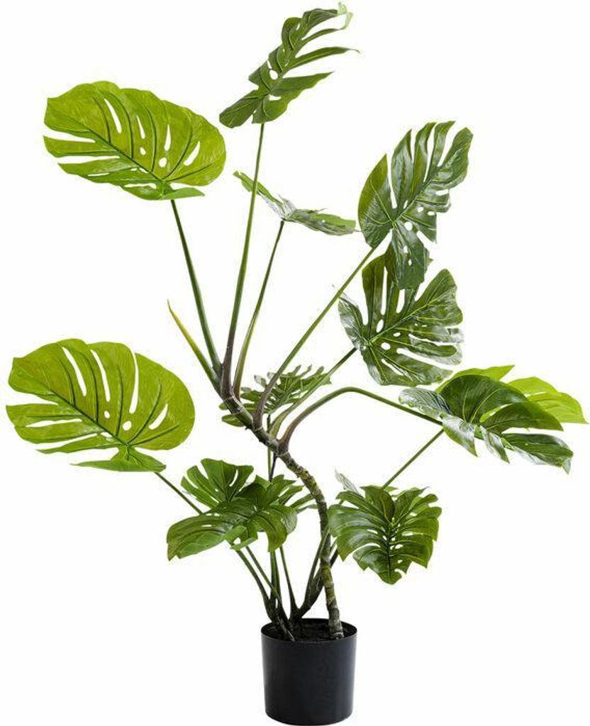 Kare Monstera Dekorative Pflanze 110 cm