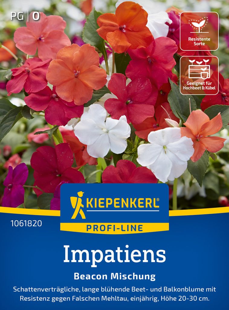 Kiepenkerl Impatienssamen Beacon F1 20 Pflanzen