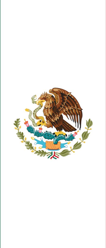 Mexico Kunstdruck Bild - Flaggen Der Welt (40 x 50 cm)