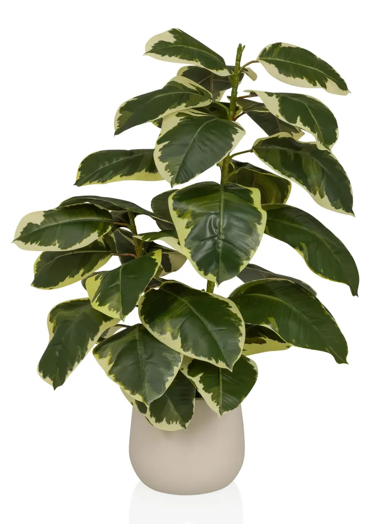 Ficus artificiel 85 cm : plante verte sans arrosage effet naturel