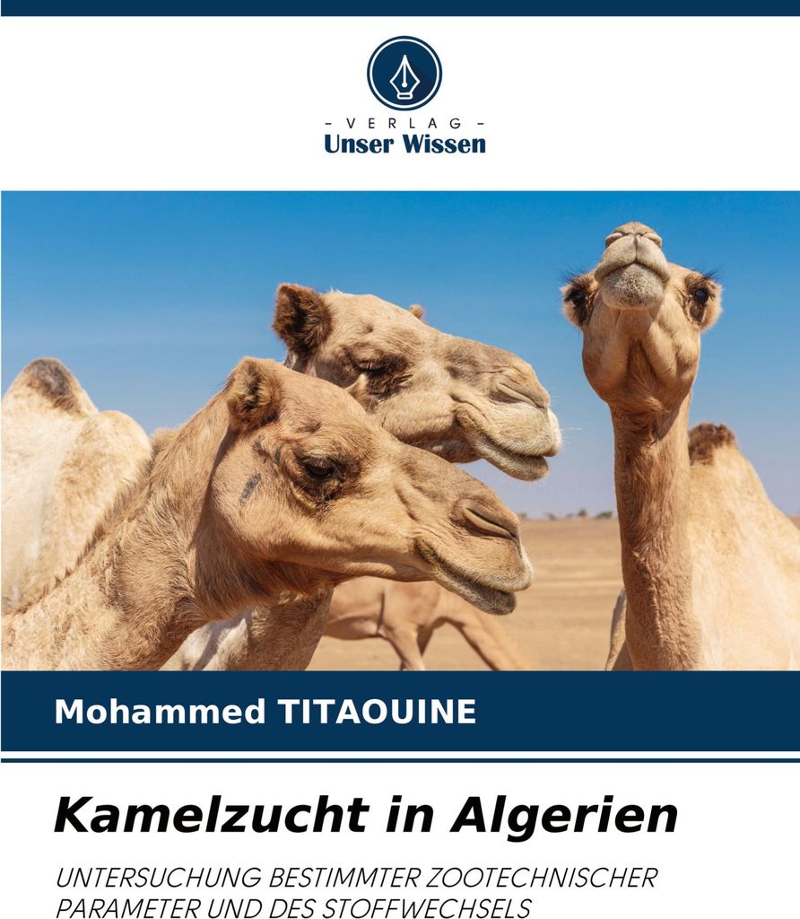 Kamelzucht in Algerien