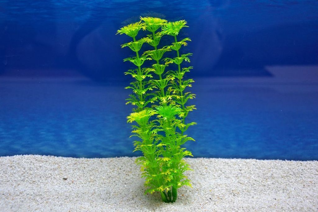 Amtra Cabomba M 20cm – Künstliche Pflanze für Aquarien-Dekoration