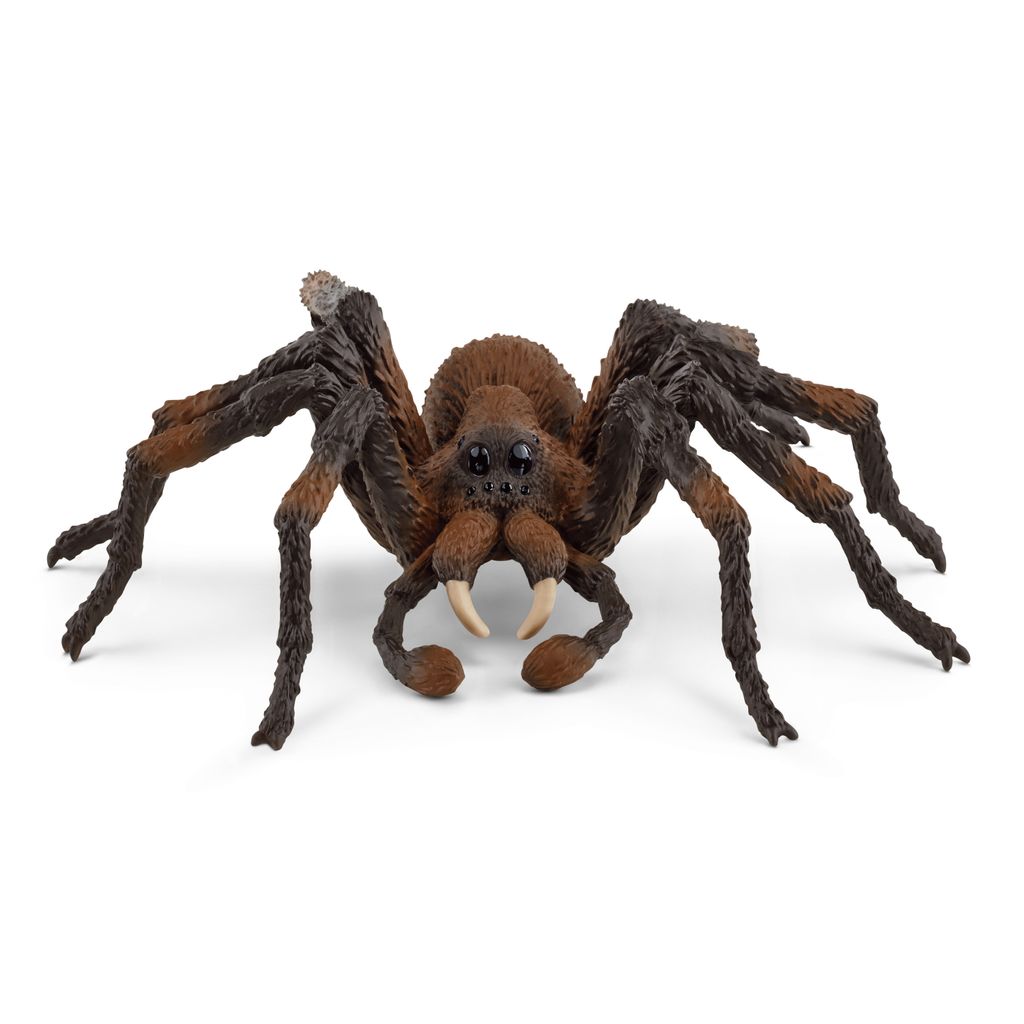 Schleich Wizarding World Aragog 13987 Image du produit 
