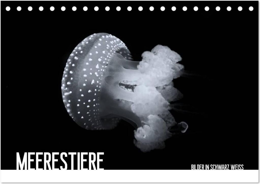 Meerestiere Bilder in Schwarz Weiss (Tischkalender 2026 DIN A5 quer), CALVENDO Monatskalender