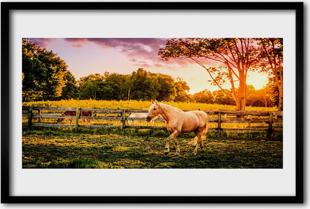 Bild 60x40 MDF-Rahmen Wandkunst Pferd Wiese Natur Tiere