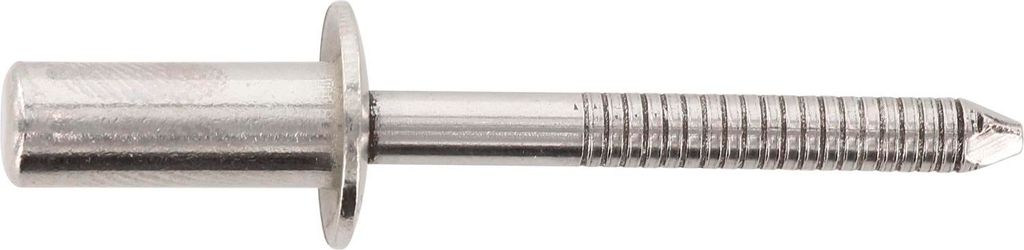 ISO16585 Dichtblindniete Flachrundkopf 4.8x 12 Edelstahl mit gerilltem Nietdorn