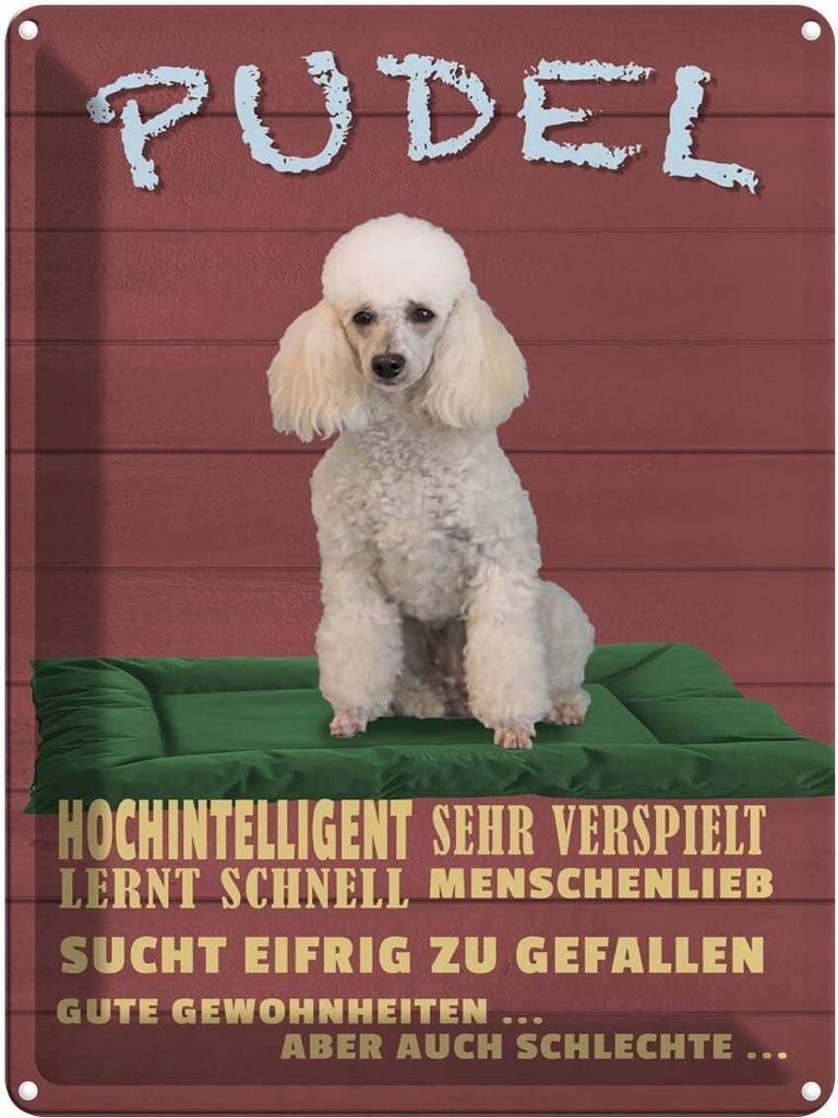 vianmo Blechschild 40x30 cm Pudel hochintelligent lieb Hund